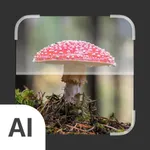 Mushroom Identifier:AI Scanner icon