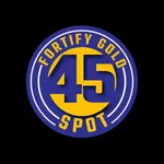 45 SPOT icon