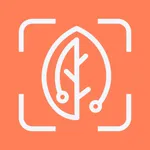 BiteRight AI Nutrition Tracker icon