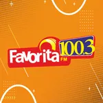 Radio Favorita FM 100,3 icon