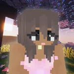 Custom Skin Creator HD icon