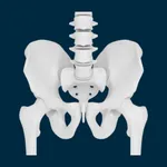 Anasalva X-Rays icon