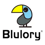 Blulory FUN icon