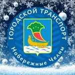 Набережные Челны Транспорт icon