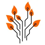 Digital Cash icon