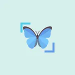 InsectID - Identify Insects icon