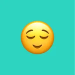 Anxiety Journal- CBT Prompts icon