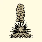 Prairie Dunes icon