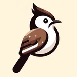 Docho - 背單詞、練聽力工具 icon