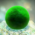 MarimoSimulator icon