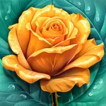 Color by number for women icon