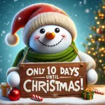 Christmas Countdown VIP icon