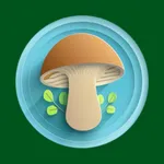 AI Mushroom Identifier icon