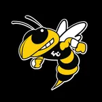 ECISD Athletics icon