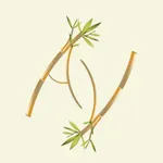 Ayurvedic Vegetarian Recipes icon