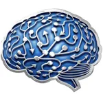 World Brain Mapping icon
