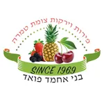 פירות טמרה icon
