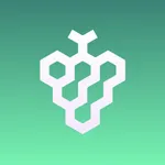 树莓加速器 - VPN加速神器 icon