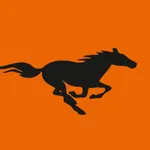 Эль Курьеро icon