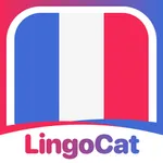Learn French - LingoCat icon