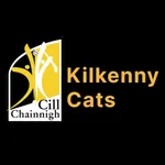 Kilkenny Cats Social icon