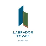 Labrador Tower icon