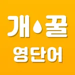 개꿀 영단어 - 뇌에 쏙쏙! 영어 단어 퀴즈 icon
