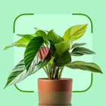 Plant ID & Care: Planthy AI icon