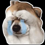 Dog meme sticker icon