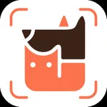 Petify AI Scanner & Identifier icon