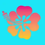 Hawaii Explorer icon