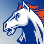 Southeast Alamance Athletics icon