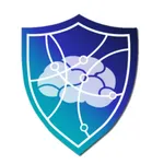 Zorronet icon