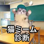 猫ミーム診断 icon