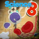 Circulatory & Lymphatic System icon