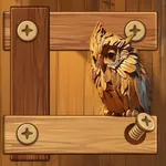 Screw Puzzle & Bolts Puzzle icon