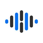 BravoIP+ icon