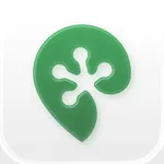 VPN-Cheap icon