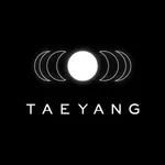 TAEYANG OFFICIAL LIGHT STICK icon