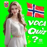 Learn Norwegian Flashcards icon