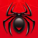 Spider Solitaire - Card Story icon