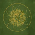 Pocket Oasis - Mobile icon