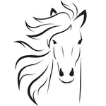 Noble Private Portfolios icon