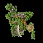 Snake Bite Awareness App icon