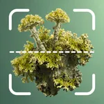 Lichen Identifier: Scan Lichen icon