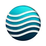 1C: Enterprise PPS icon