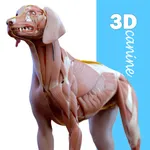 Complete Canine Anatomy 3D icon