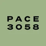 Pace 3058 icon