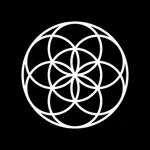 Human Design App, Mindset: Joy icon