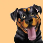 André Rações icon